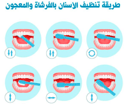 مطويات عن نظافة الأسنان 4