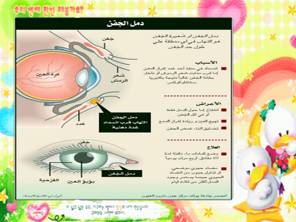 مطـويات عن صحة العين 3