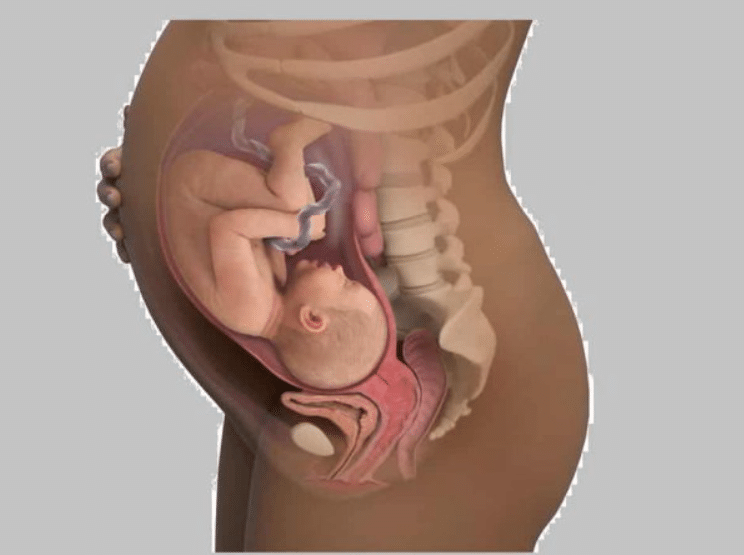 ما سبب حركة الجنين في المهبل في الشهر الثامن