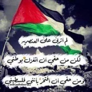 عبارات عن فلسطين تويتر 2