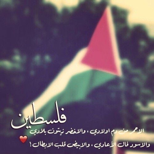 تعبير عن حب فلسطين