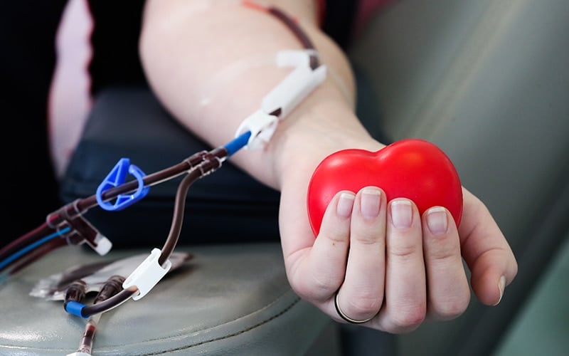 مطوية حول التبرع بالدم