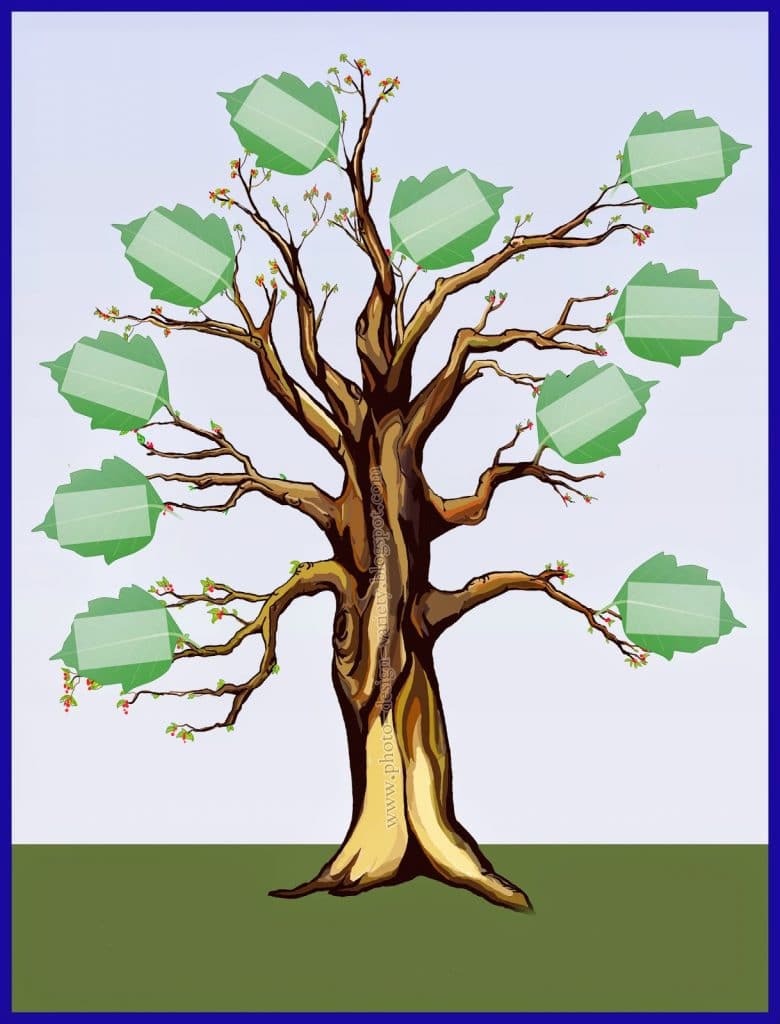 نموذج شجرة العائلة فارغة pdf