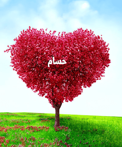رسائل حب باسم حسام