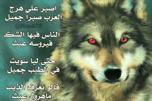 الذئب في الشعر العربي