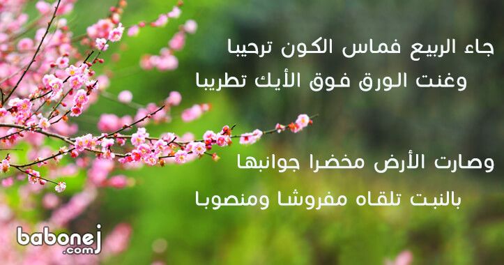 شعر عن فصل الربيع للشاعر أحمد شوقي