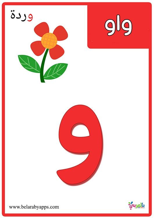 بطاقات الحروف العربية مع الصور2