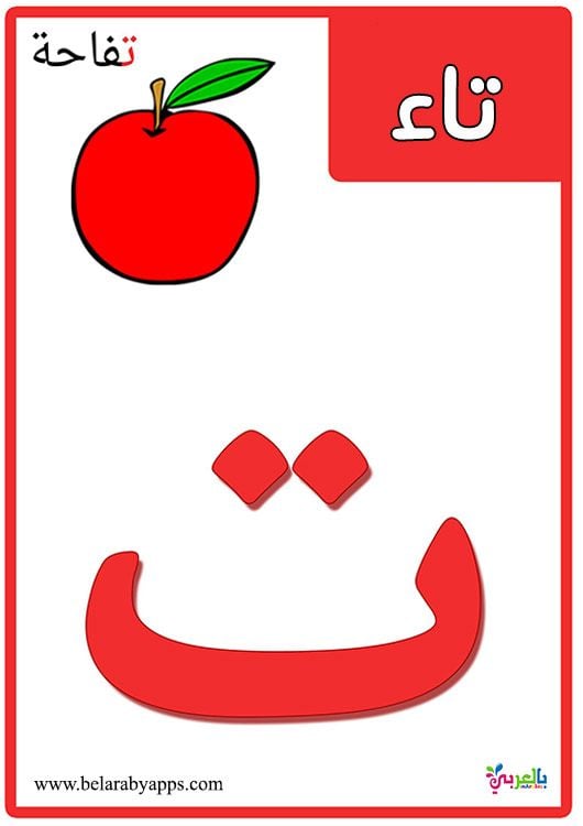بطاقات الحروف العربية مع الصور4
