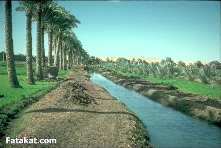 مناظر طبيعية من الريف المصري1