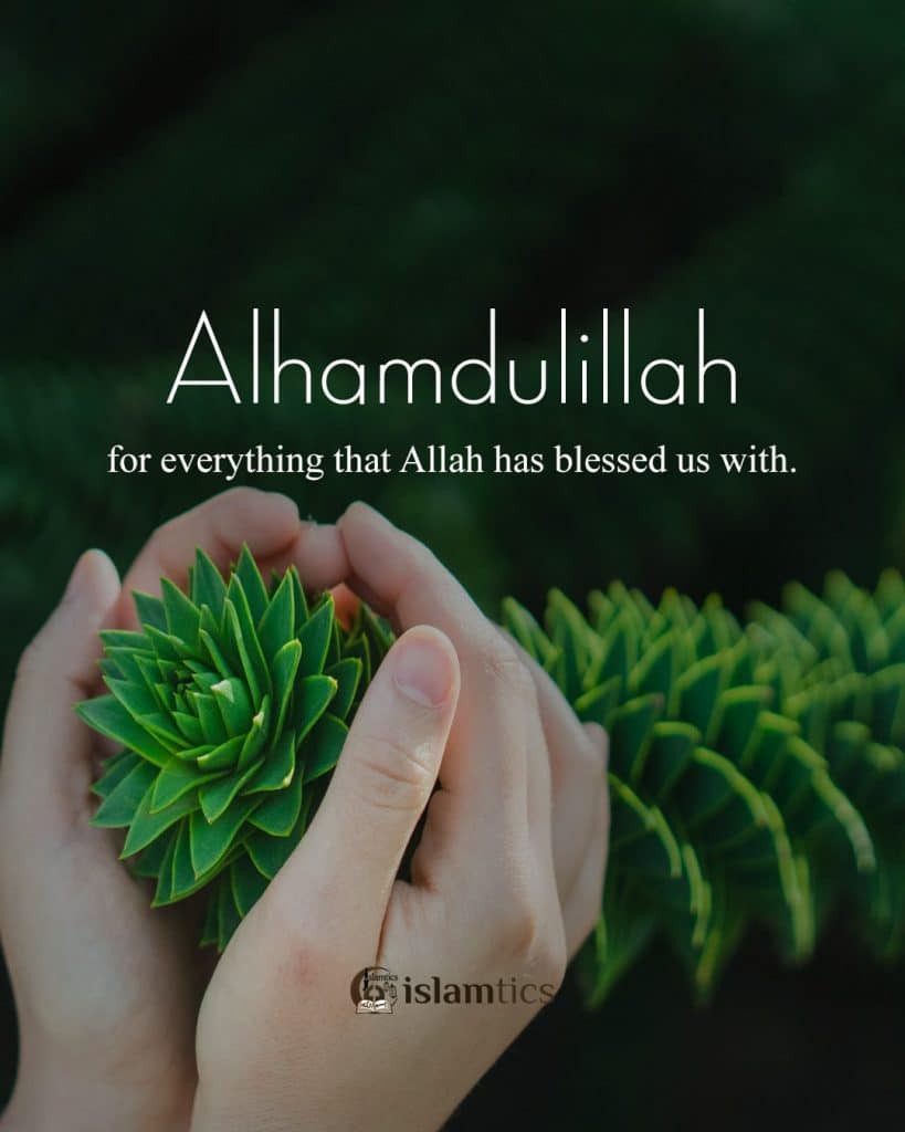 alhamdulillah for everything1