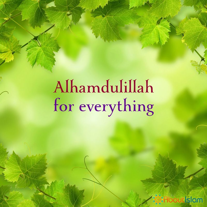 alhamdulillah for everything4