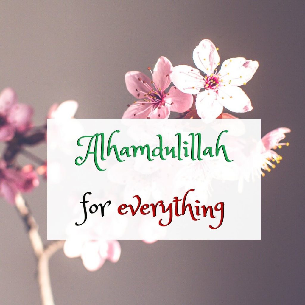 alhamdulillah for everything5