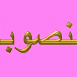 المنصوبات في اللغة العربية