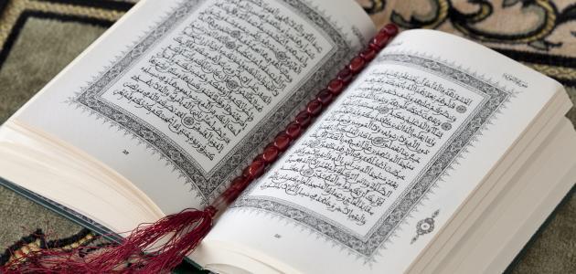 ما الفرق بين الزوج والبعل في القرآن الكريم