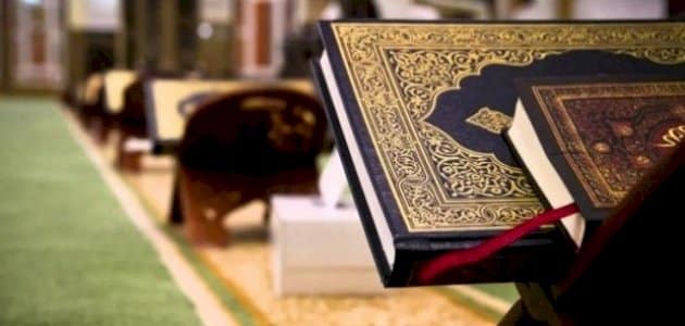 ما الفرق بين الزوجة والمرأة في القرآن