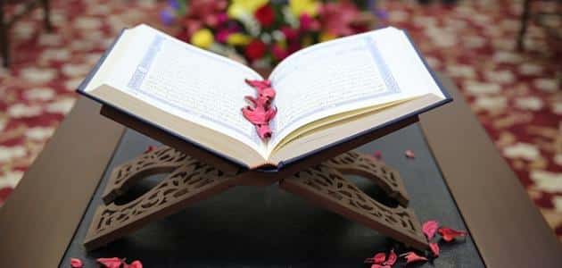 معنى الاستقامة في القرآن