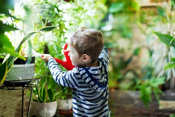 قصة عن مراحل نمو النبات للاطفال