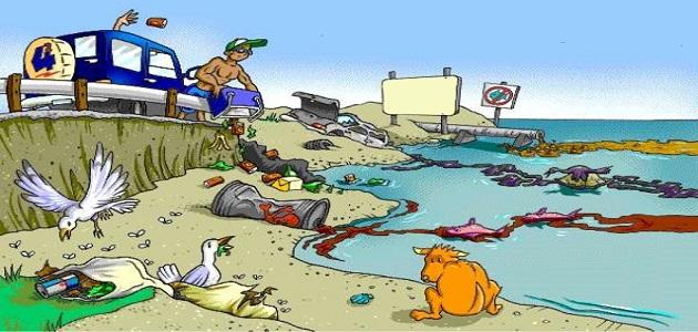 قصة قصيرة عن التلوث المائي وتأثيره على البيئة البحرية