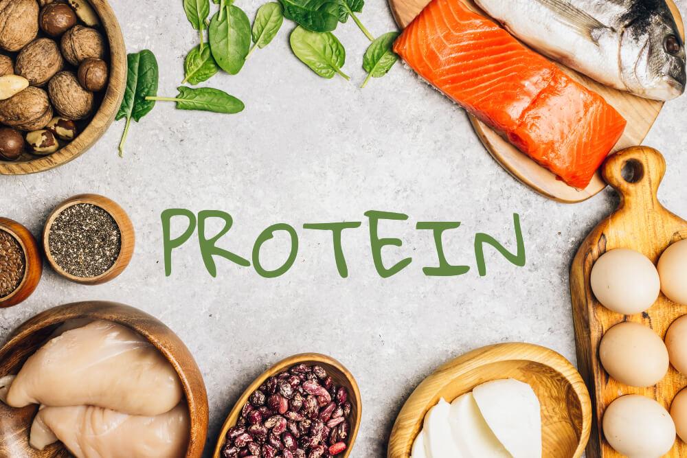 برنامج حساب البروتين في الطعام