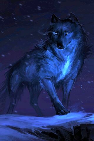 خلفيات ذئب أزرق 1