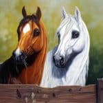 رمزيات خيول