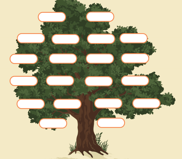 أوراق عمل شجرة العائلة 3