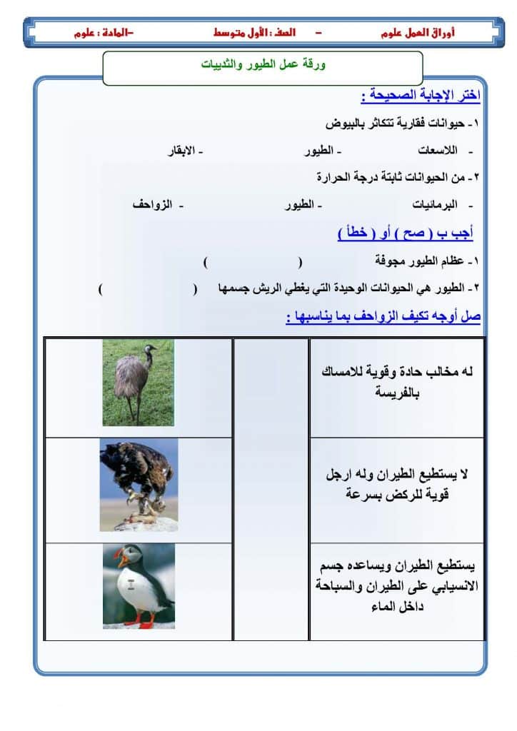 ورقة عمل الثدييات والطيور 4