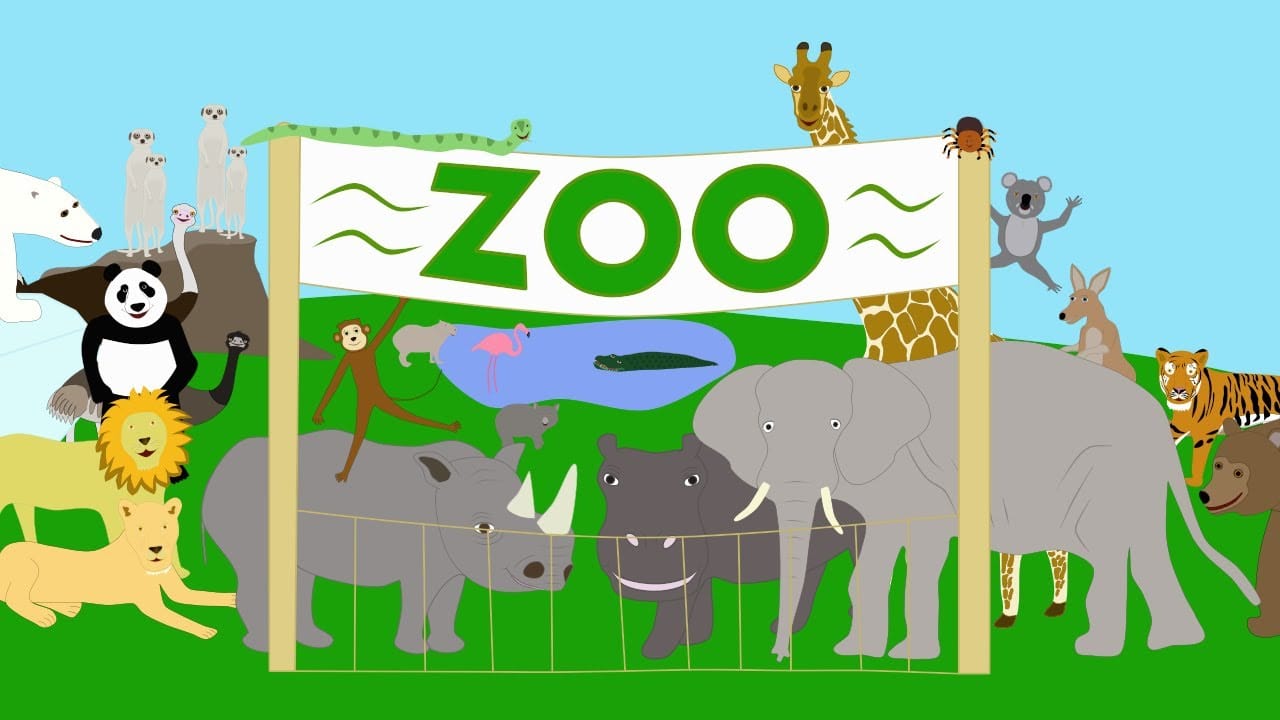 برجراف عن visit the zoo