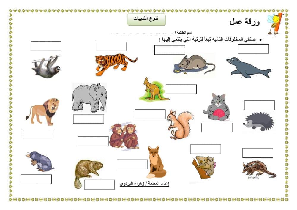 ورقة عمل تنوع الثدييات 1
