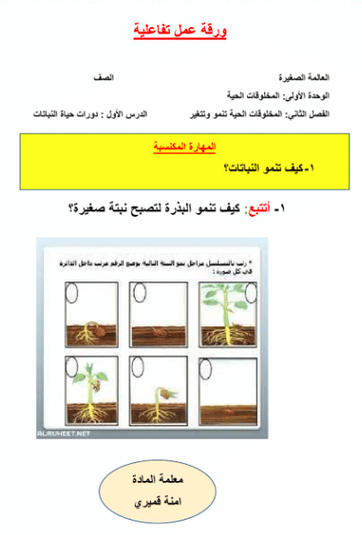 ورقــة عمل النباتات الزهرية 4