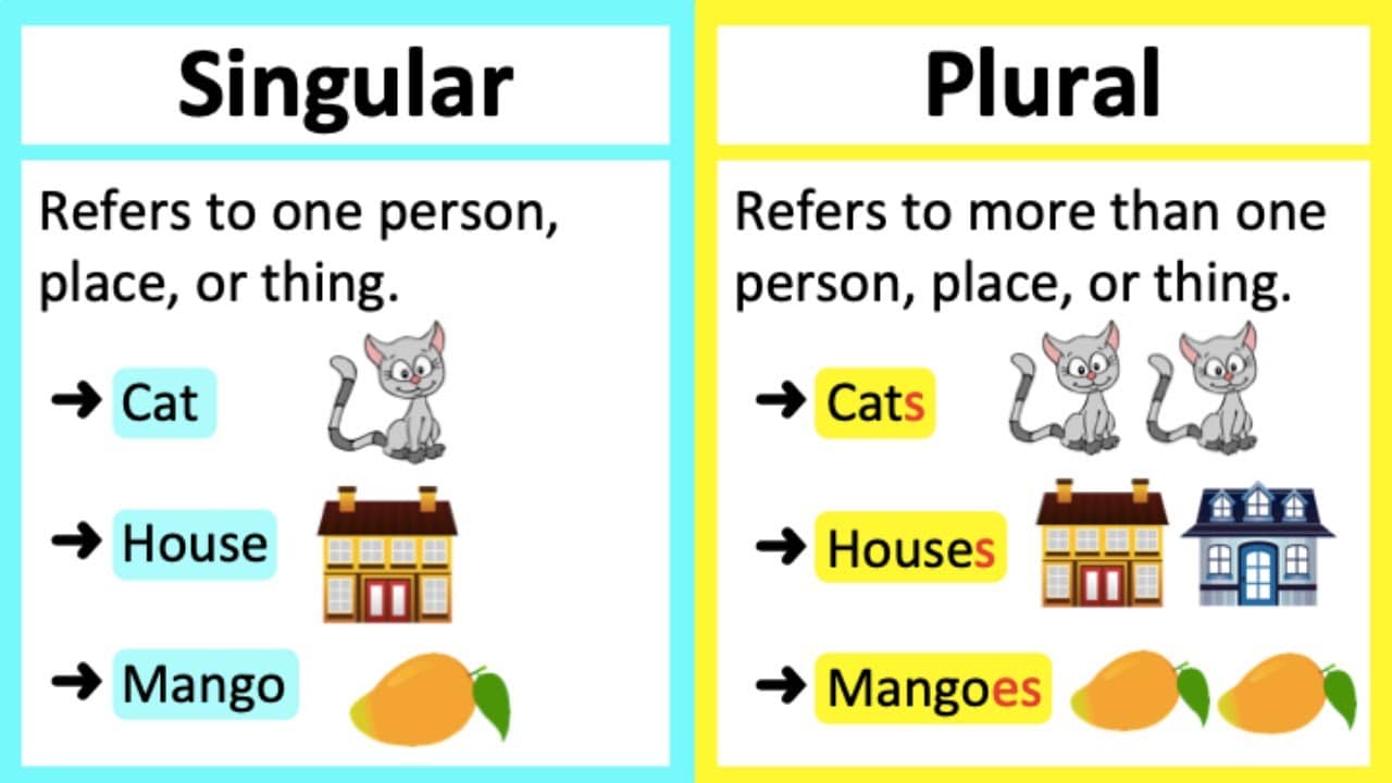 تدريبات على singular and plural