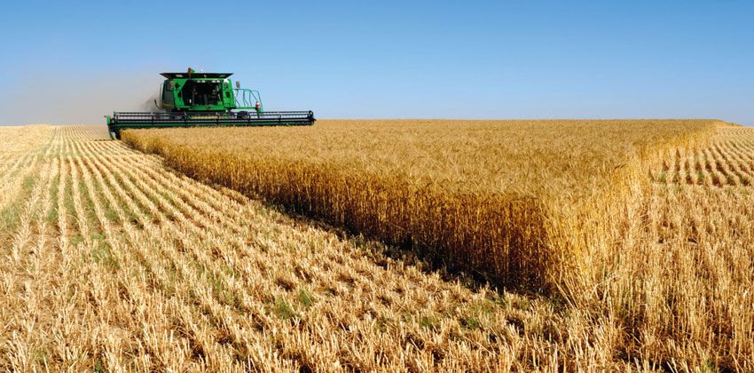 اسماء الشركات الزراعية في قطر