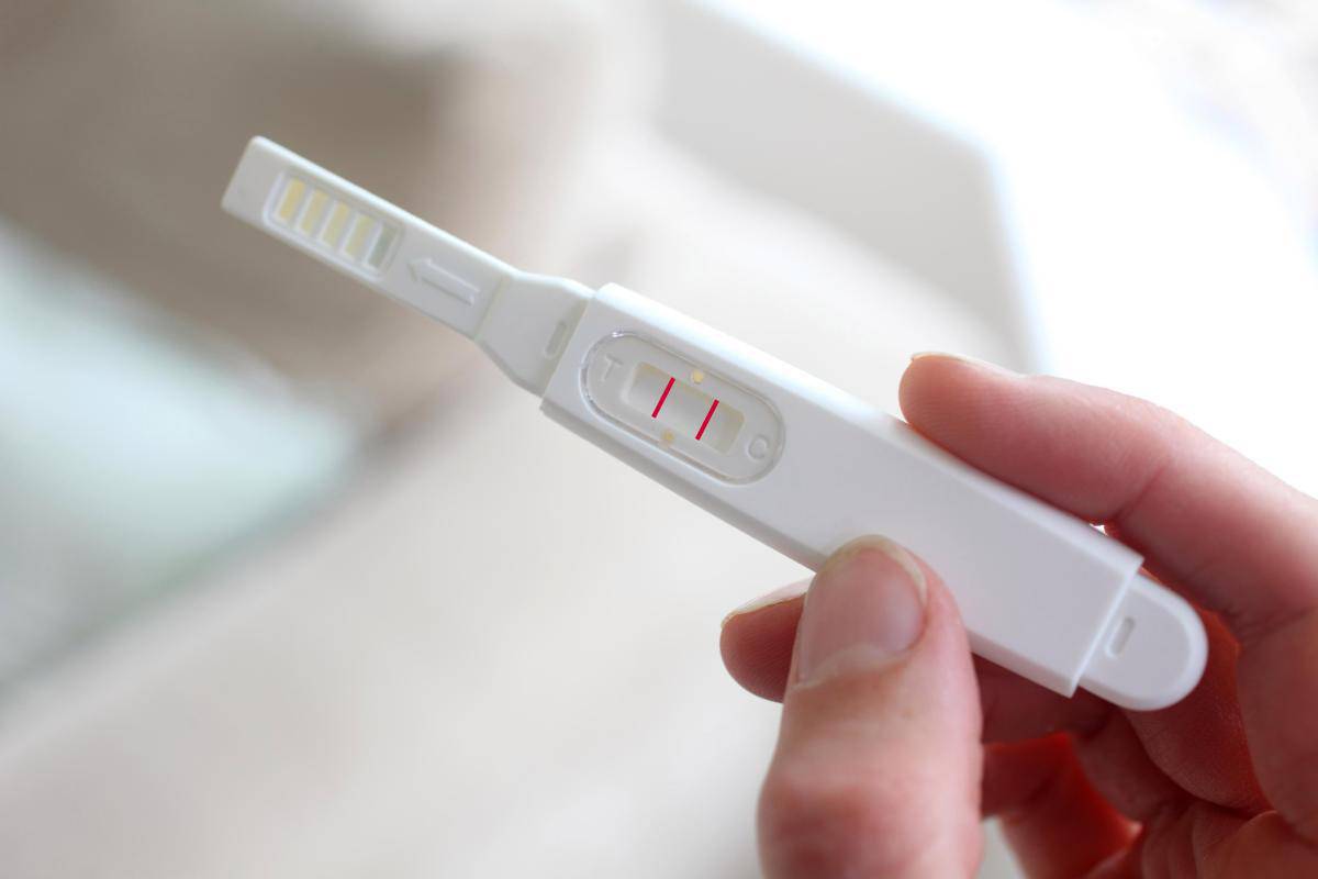 كيفية استخدام test الحمل