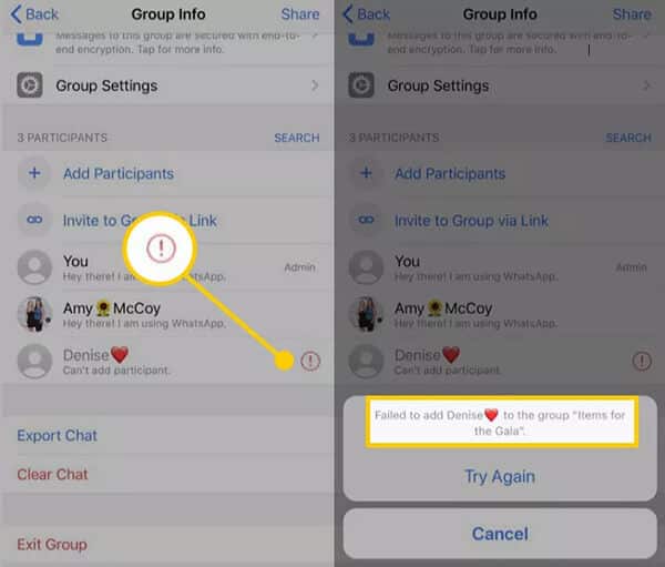 Method 3: While Adding in 4 WhatsApp Group