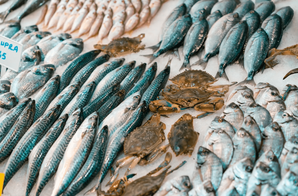 محلات بيع السمك في المدينة المنورة