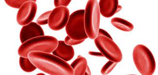نصائح لعلاج فقر الدم 