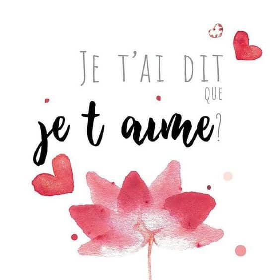 اجمل كلام في الحب بالفرنسية مترجم بالعربية
