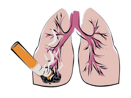 تقرير حول ظاهرة التدخين مقدمة عرض خاتمة