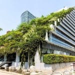 مواصفات المباني الخضراء في الامارات